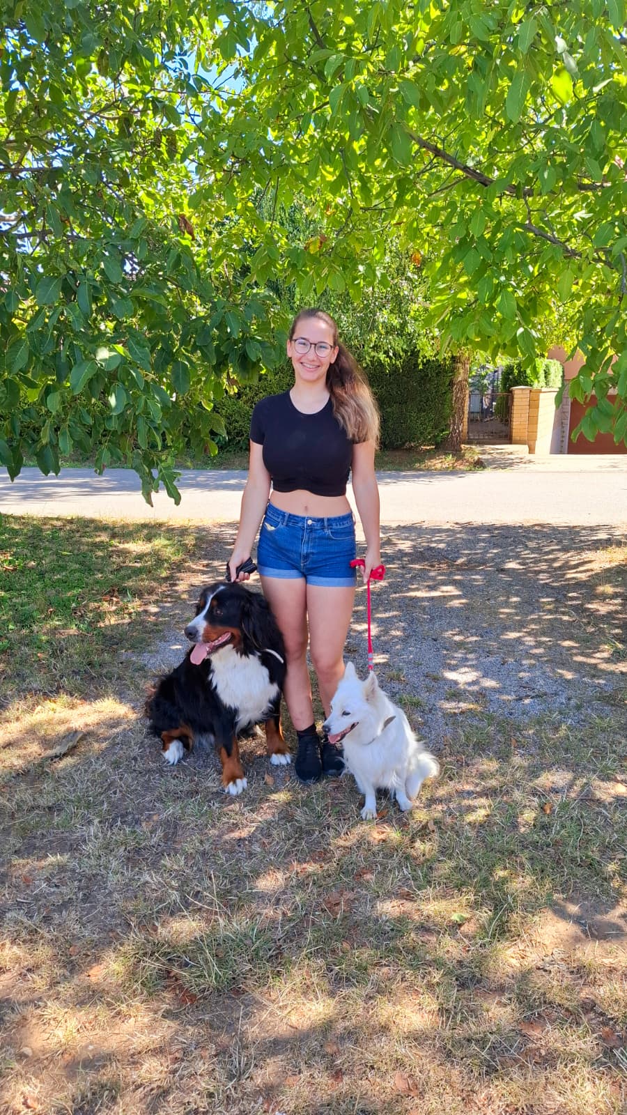 Chiara geht mit zwei Hunden spazieren