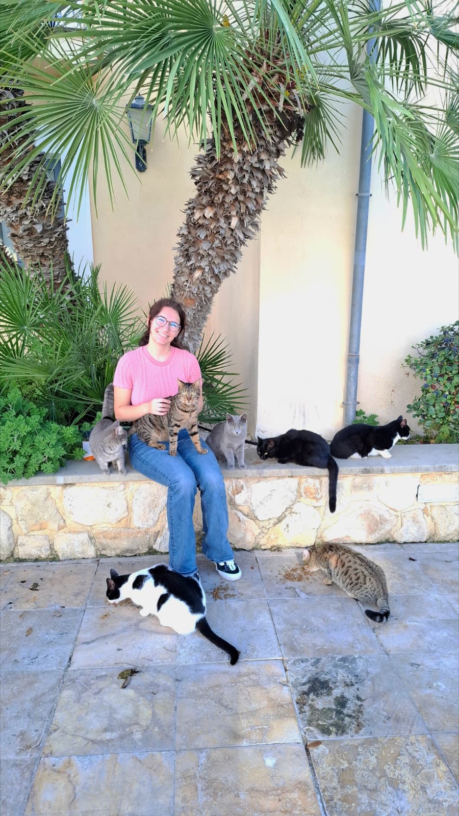 Chiara umgeben von mehreren Katzen